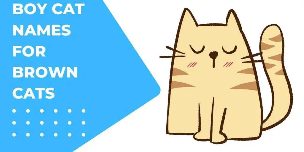 Header image for brown cat names for boys showing a vector graphic of a brown cat