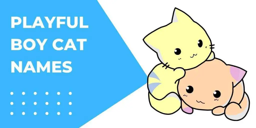 This is a header image for Playful boy cat names showing two cartoons of kitten playing together
