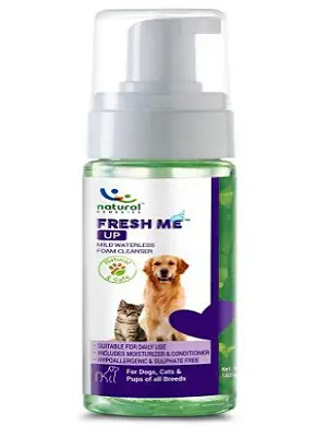 Best Cat Shampoo in India in 2023: Reviews