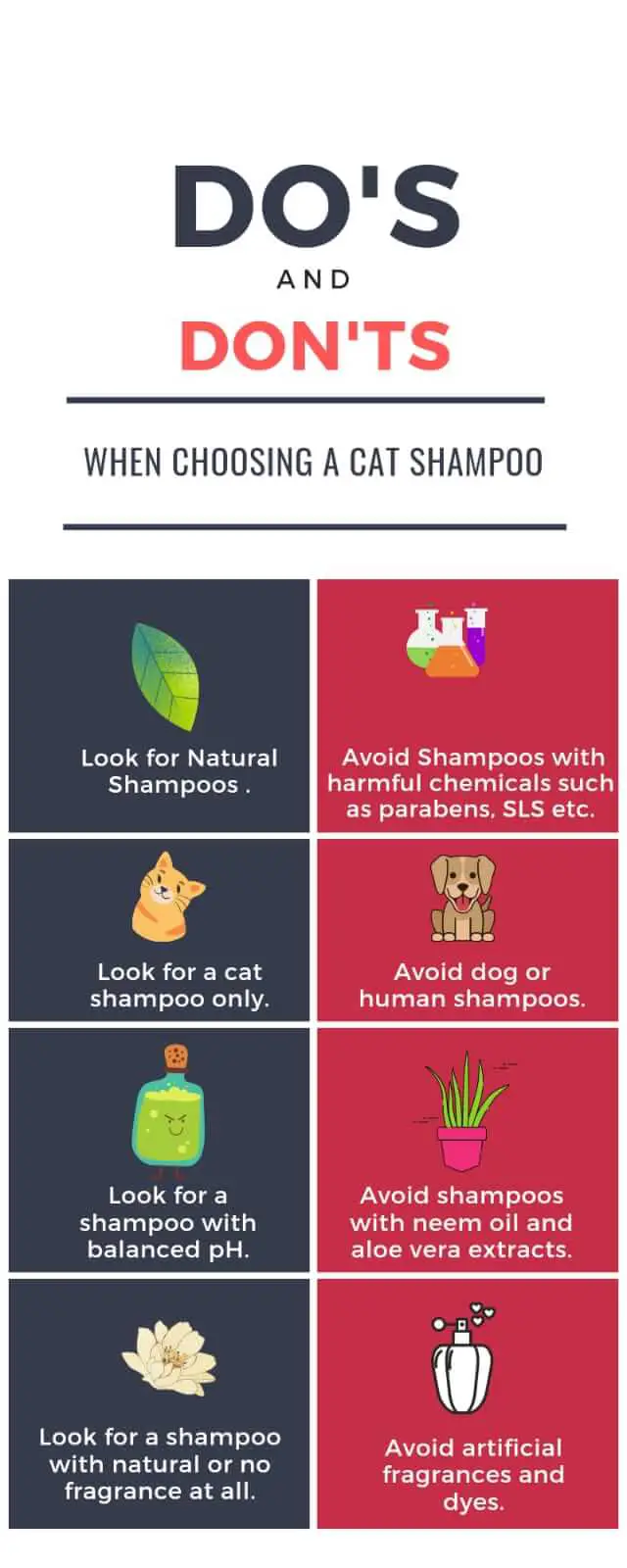 An infographic explaining Do's and Don'ts for cat shampoos (1)