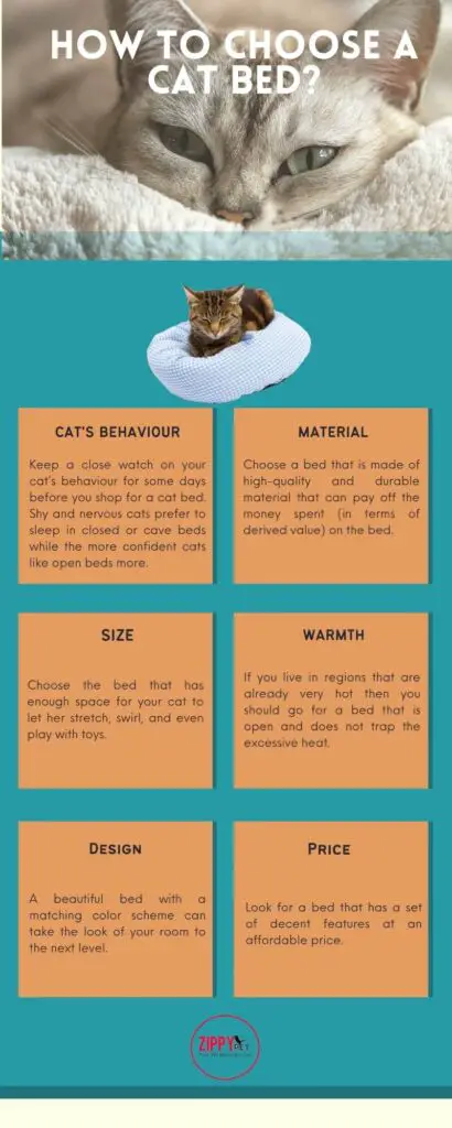 An Inforgrapgic showing how to choose a cat bed 