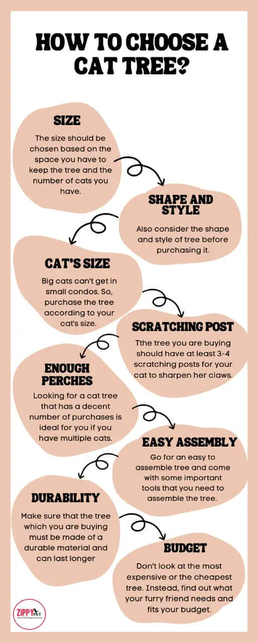 An Infographic showing how to choose a cat tree

