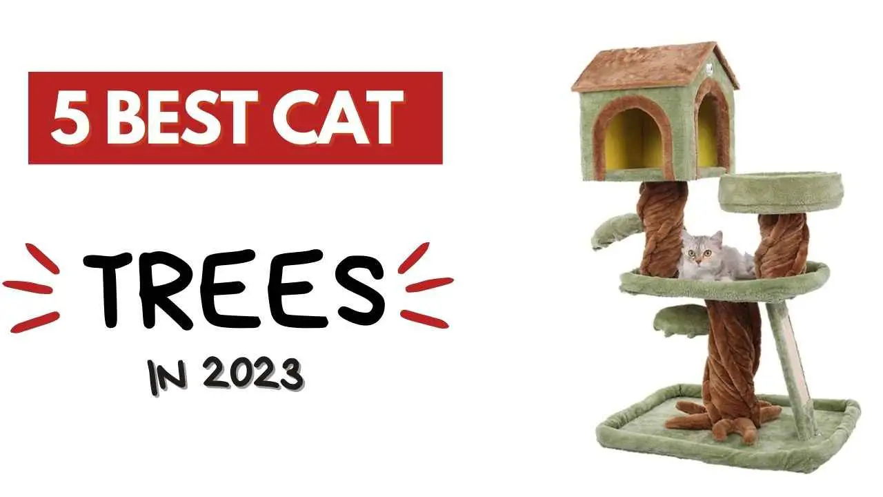 this image shows a cat sitting on a green cat tree
