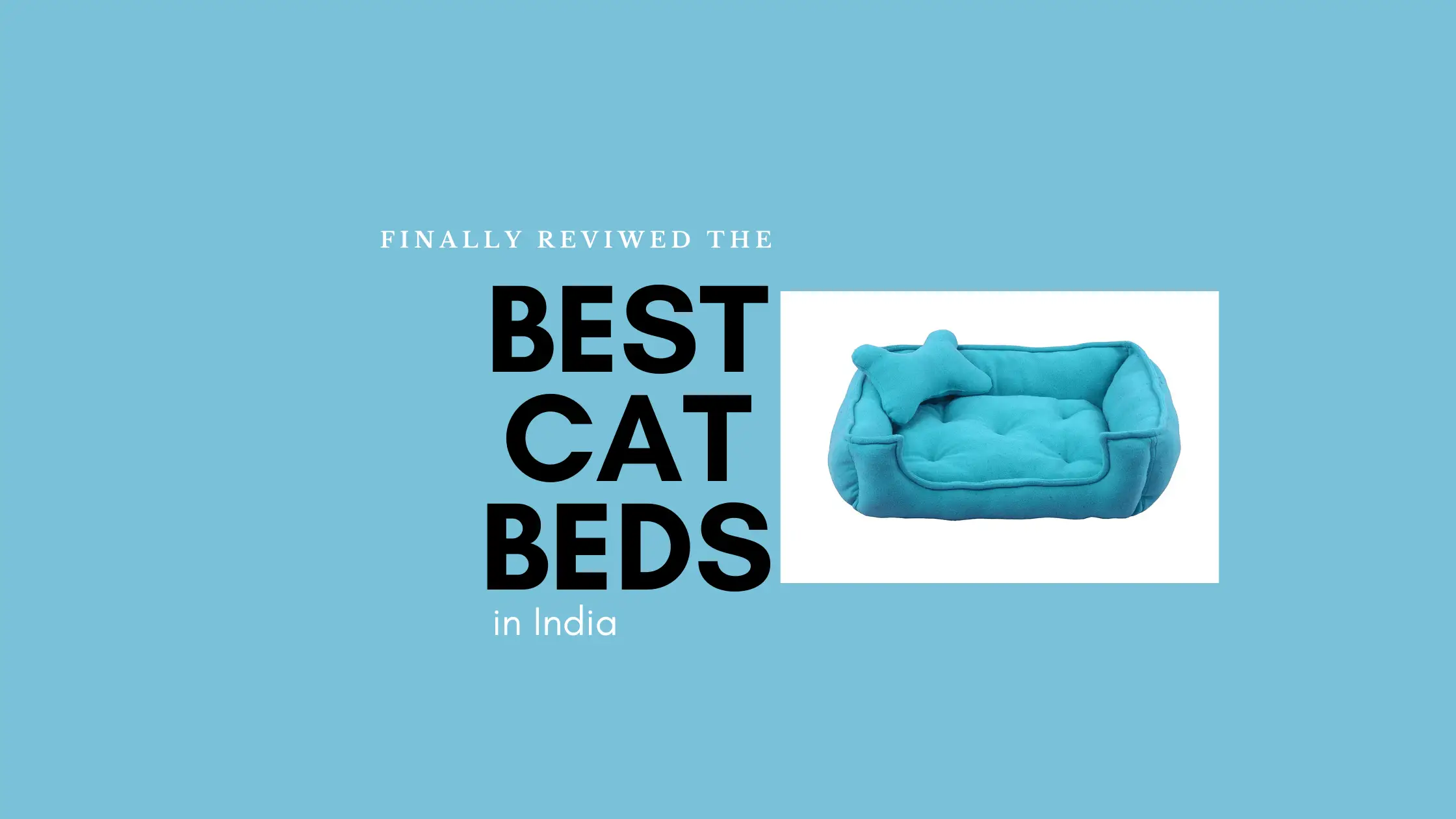 Best Cat Beds in India 2022 (Updated): Top 10 Cat Beds Reviews