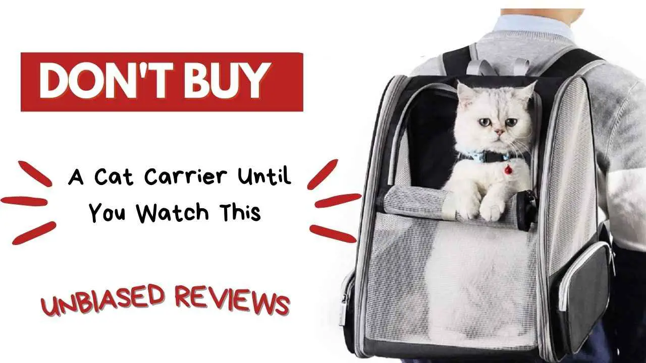 11 Best Cat Carriers in India 2022 | Unbiased Reviews