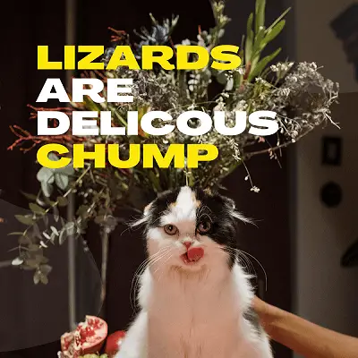 Do cats Eat Lizards?