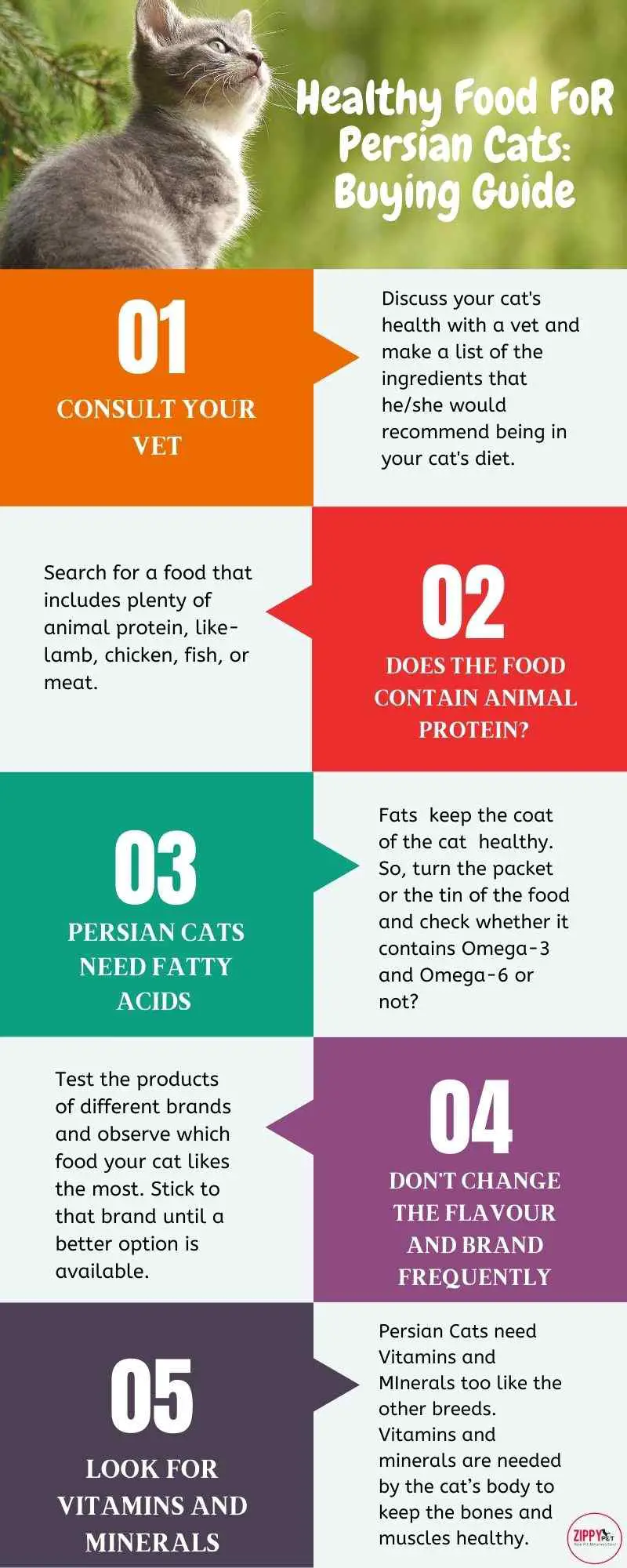 An infographic showing how to choose a healthy food for persian cat
