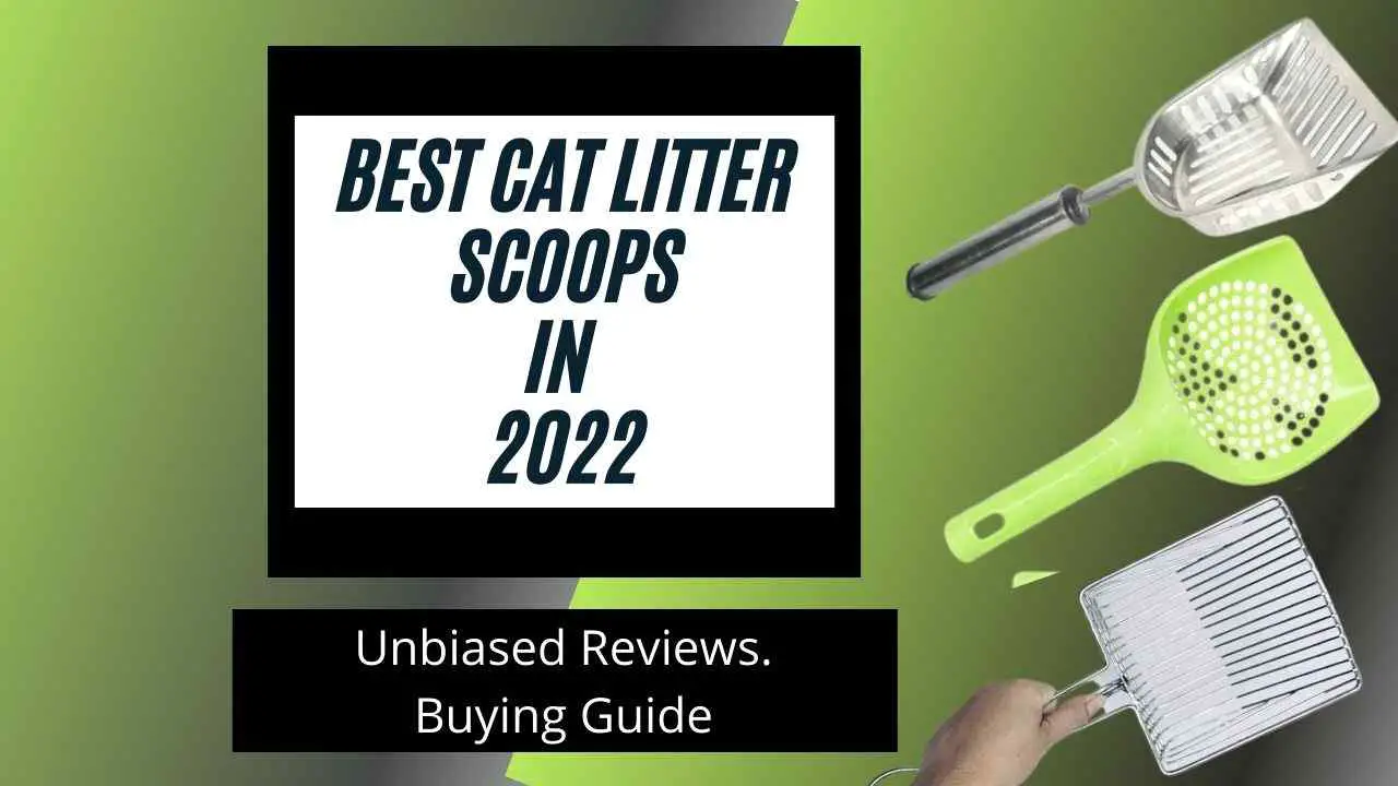 9 Best Scoop for Litter in India 2022- 100% Honest Reviews-