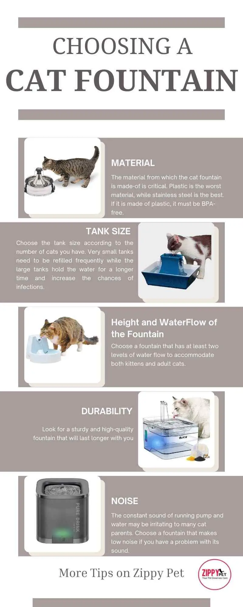 This infographic shows how to choose a cat water fountain