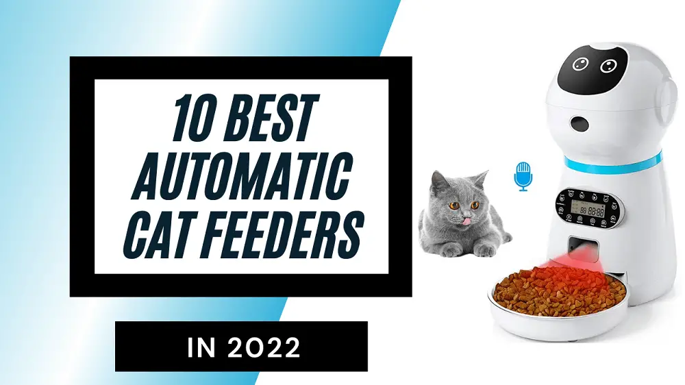 Top 7 Best Automatic Cat Feeders in India in 2023- Reviews