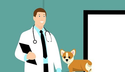 image showing vector graphic of veterinarian