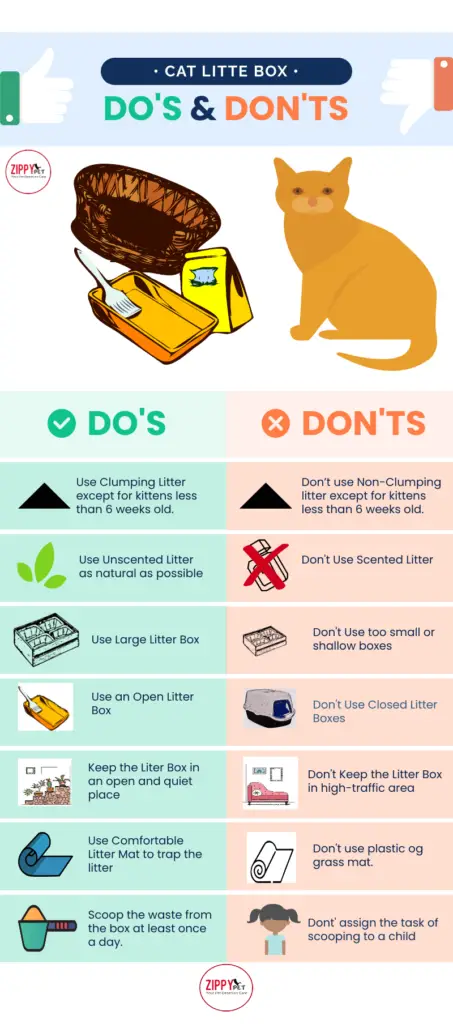 An infographic showing Do's and Don'ts to manage a cat litter box 