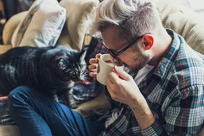 An image showing a cat sitting near a man