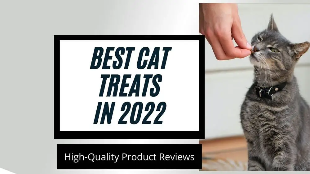 Top 8 Best Cat Treats in India (2022)- The Healthiest Cat Treats On the Market-Zippy Pet