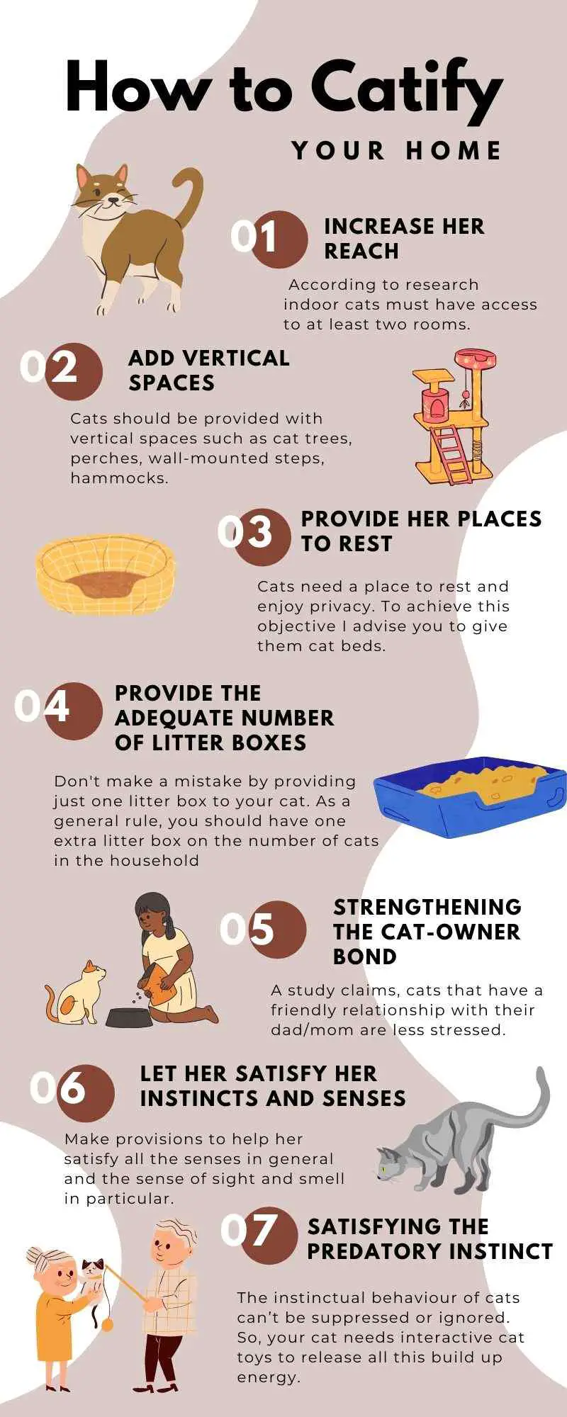 This Infographic shows you how to catify your home