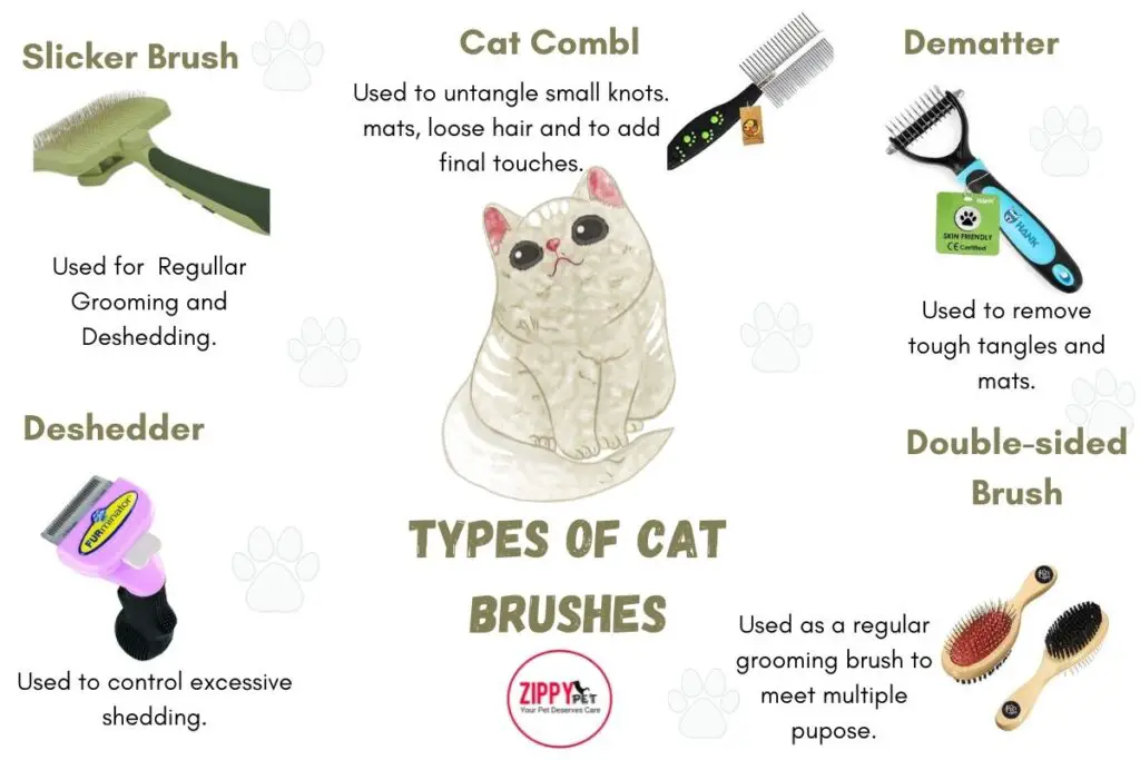 This infographic shows types of cat brushes
