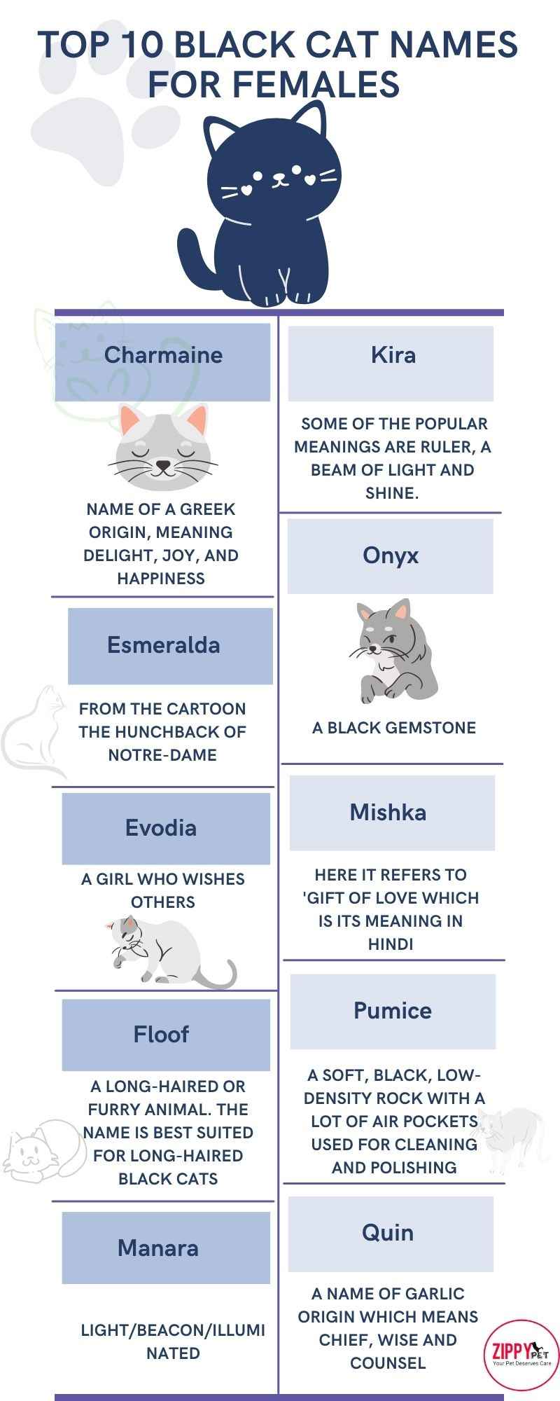 Top 10 Black Cat Names for Female Black Cats