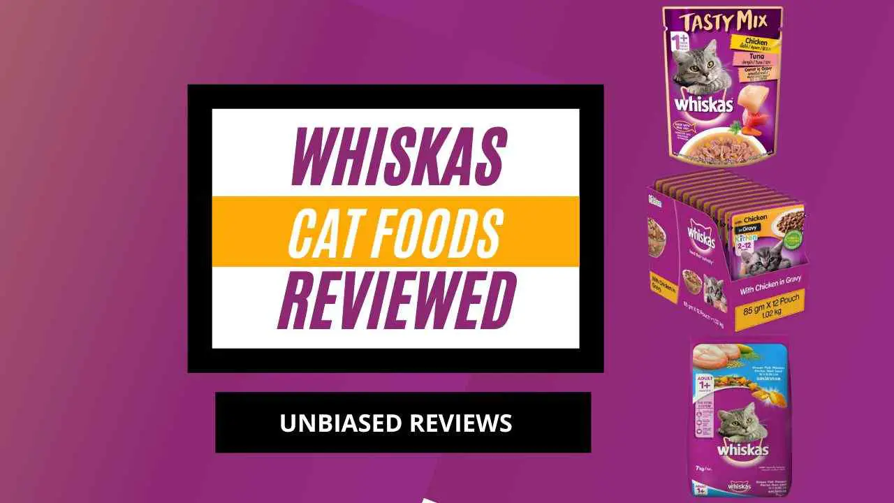 Whiskas Cat Foods Reviews (Unbiased) 2022- Wet, Dry, Kitten Food and Tasty Mix