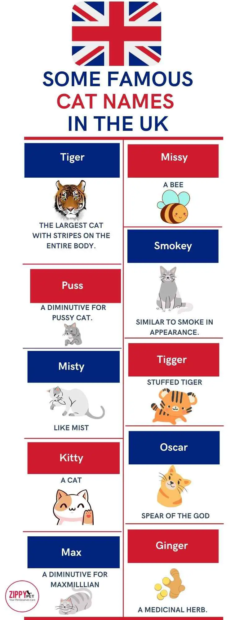 This inforgraphic shows the some popular cat names in the United Kingdom