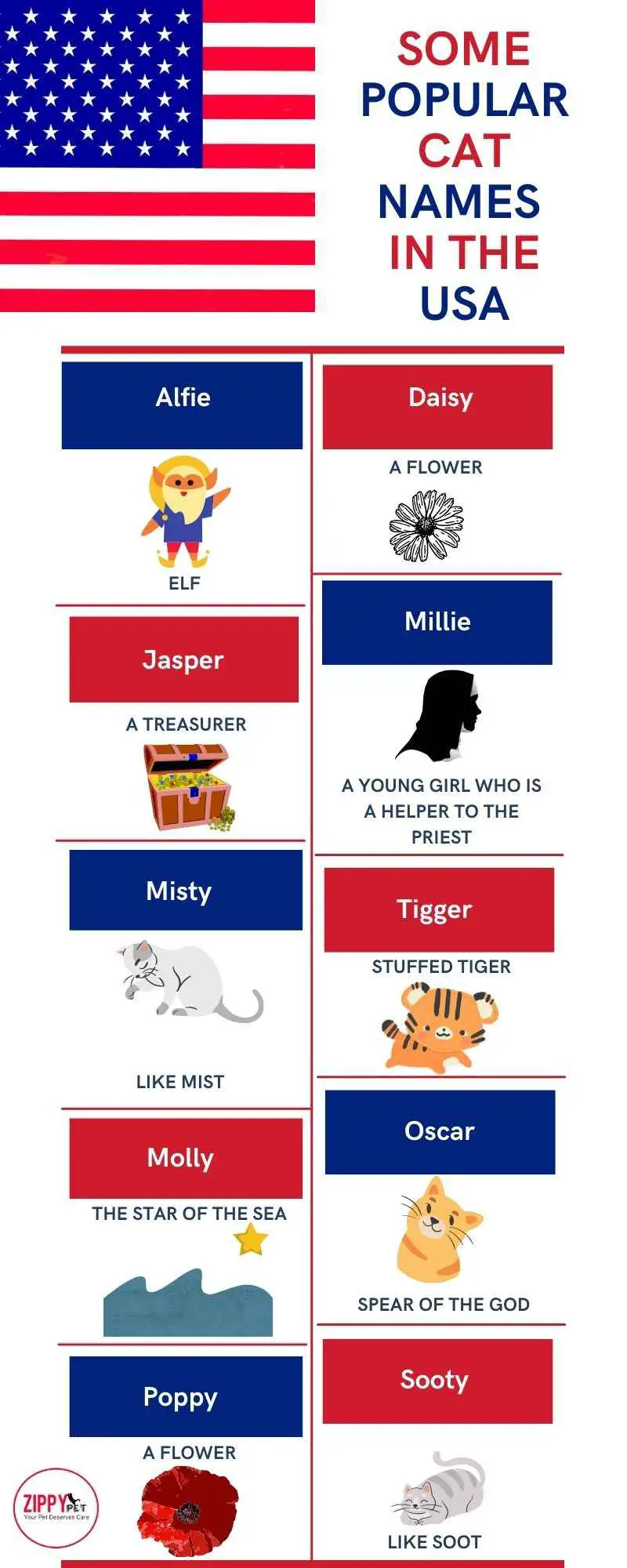 This inforgraphic shows the some popular cat names in the United States