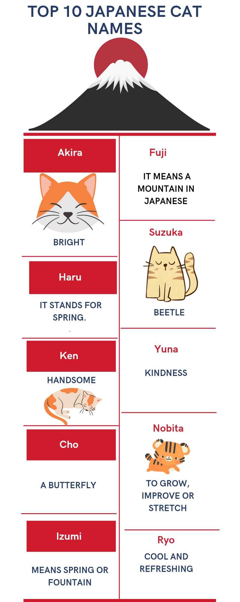 Popular Japanese cat names Infographic 
