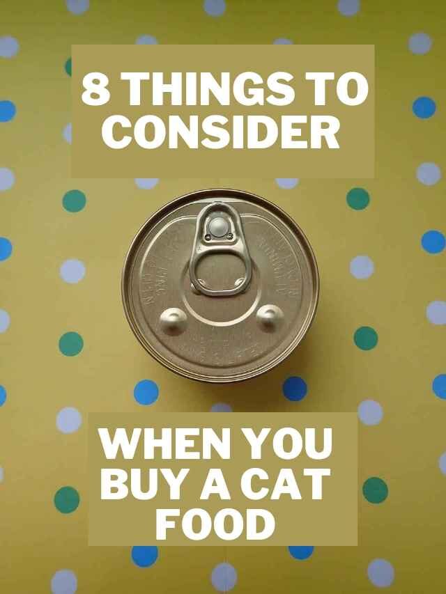 8 things to consider when you choose a cat food