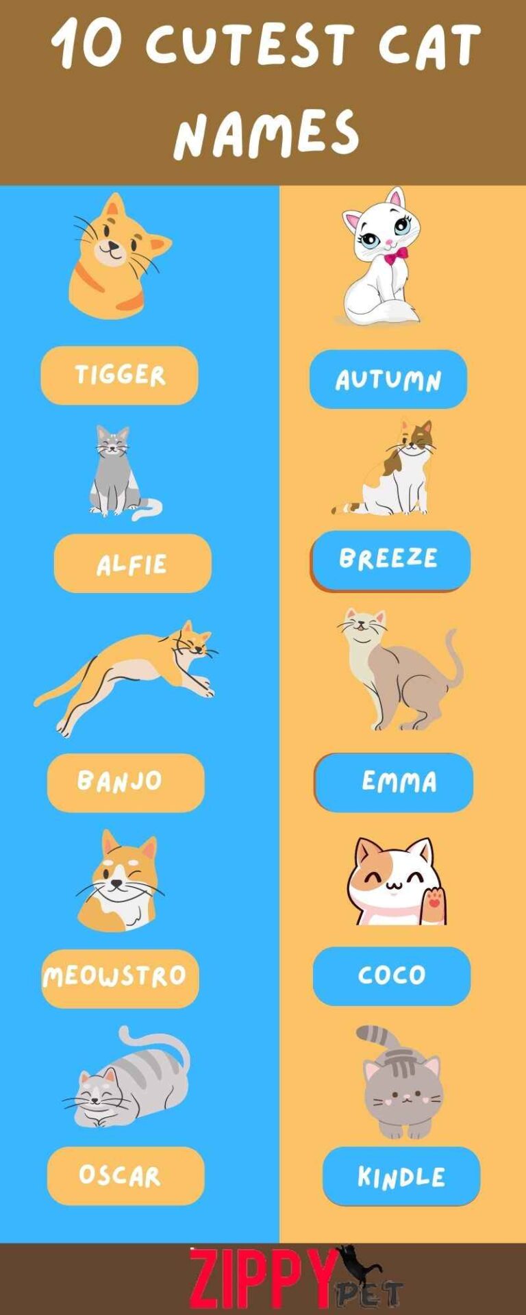 cute-cat-names-for-the-coolest-cats-zippy-pet