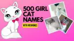 500 Girl Cat Names Featured Image for Blog Post