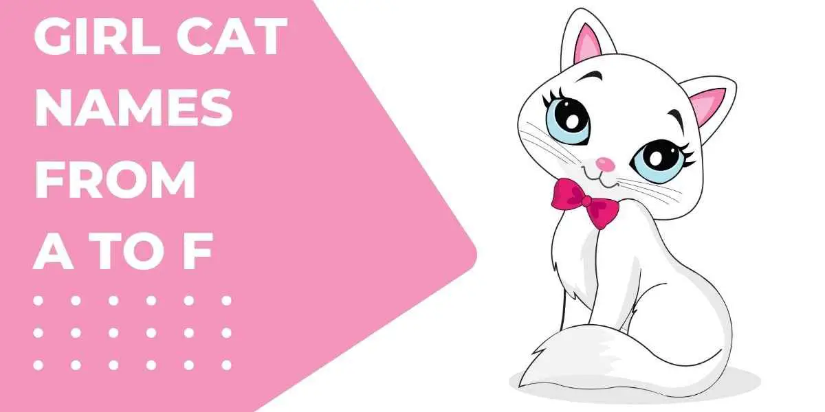 cute white cat cartoon with blue eyes and a neck ribbon.