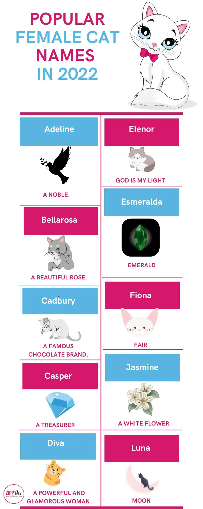 This infographic  shows a list of famous female cat names 