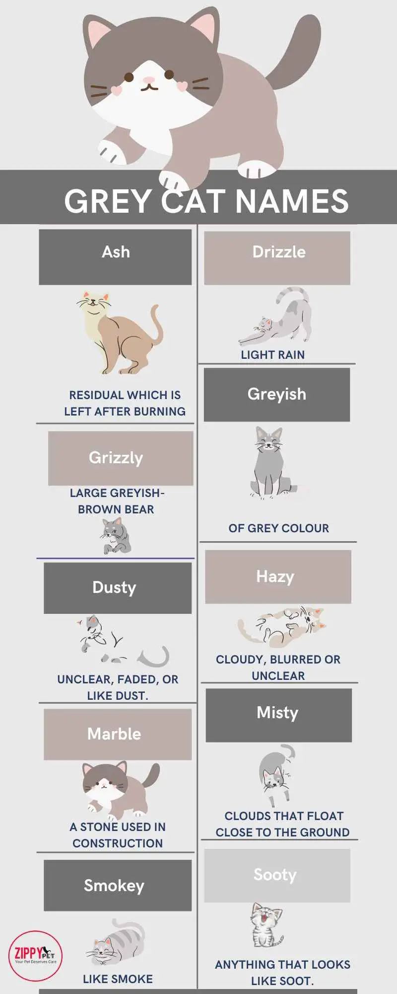 Most Popular Grey Cat Names List