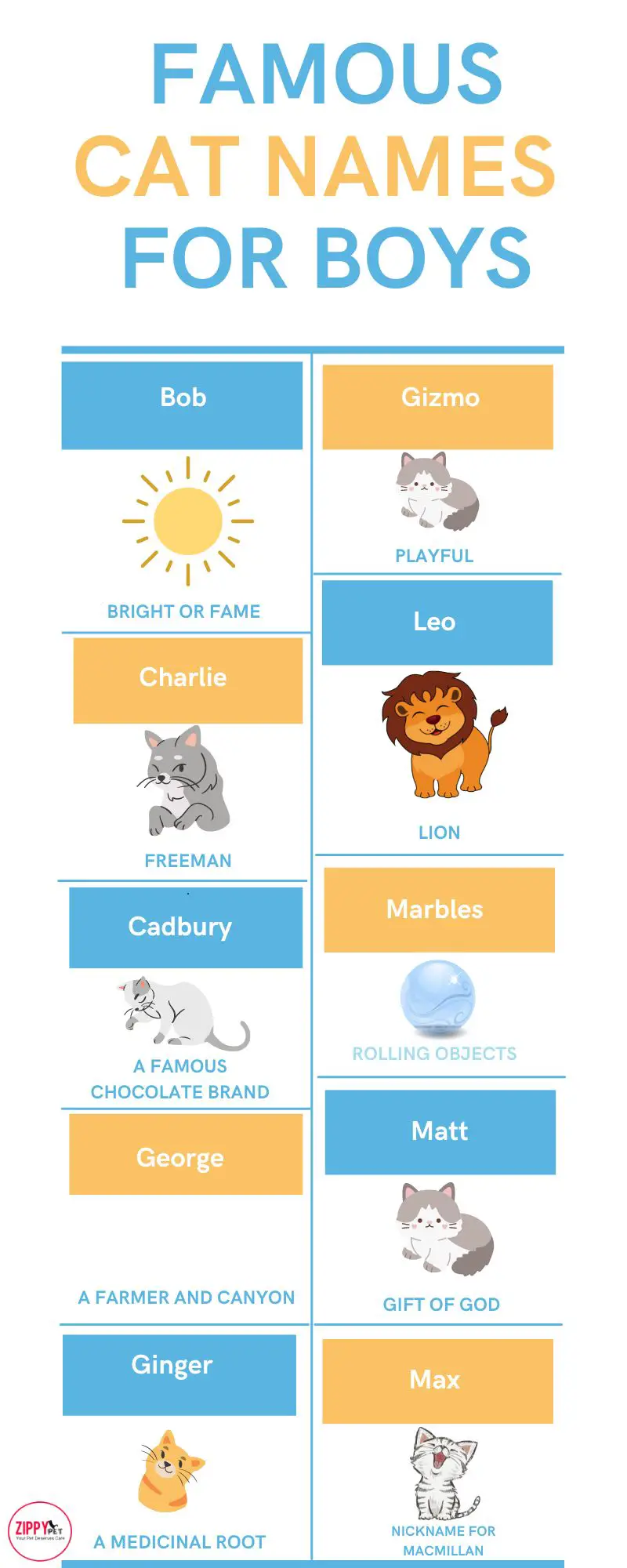 Boy Cat Names Inforgraphic