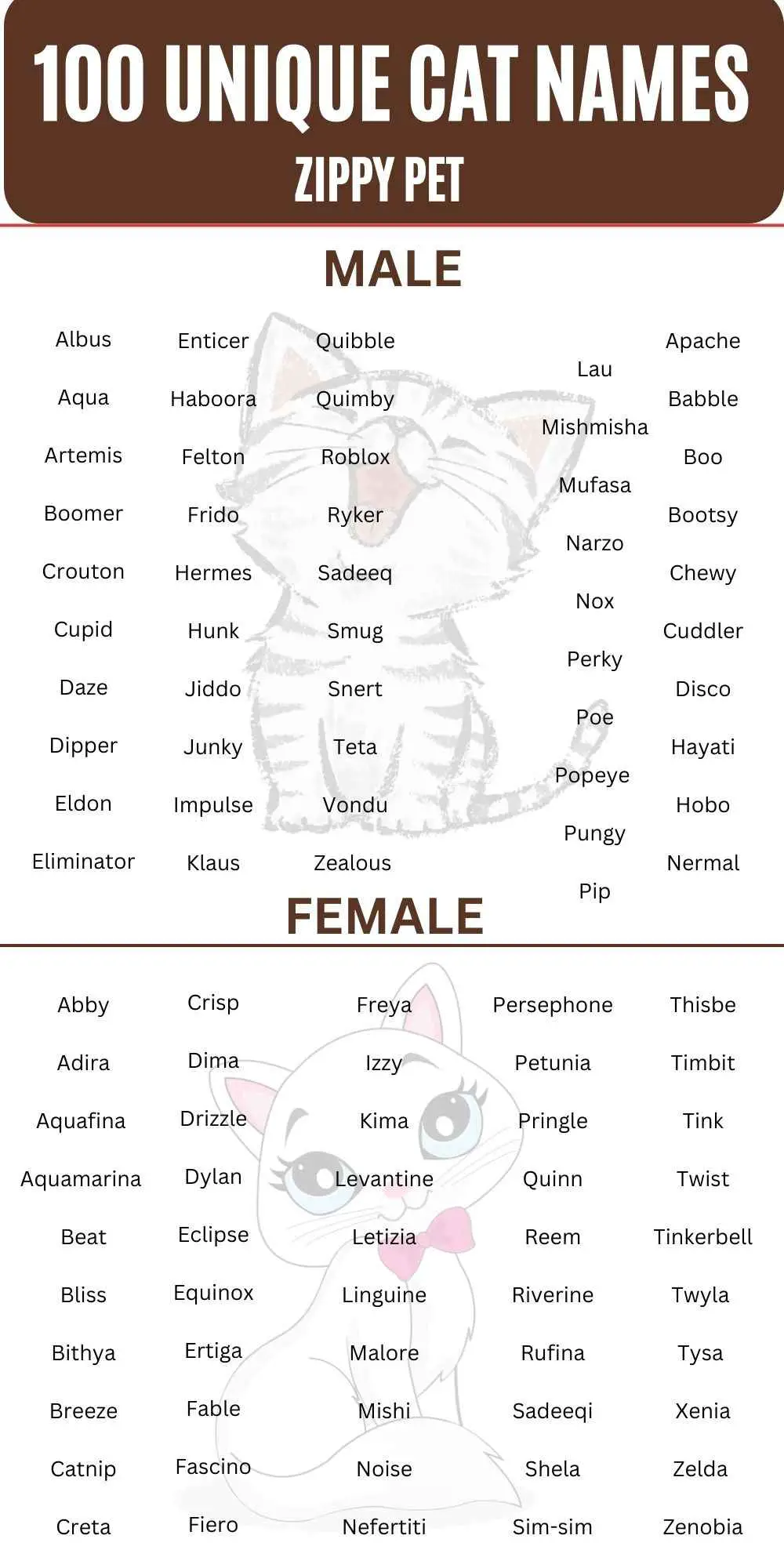 100 Unique Cat Names List 