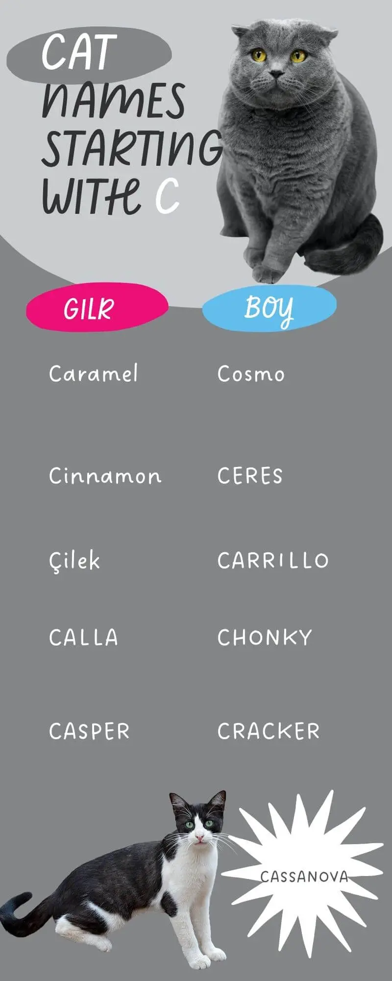 An infographic showing  the list of 10 Cat Names Starting with C for male and female cats