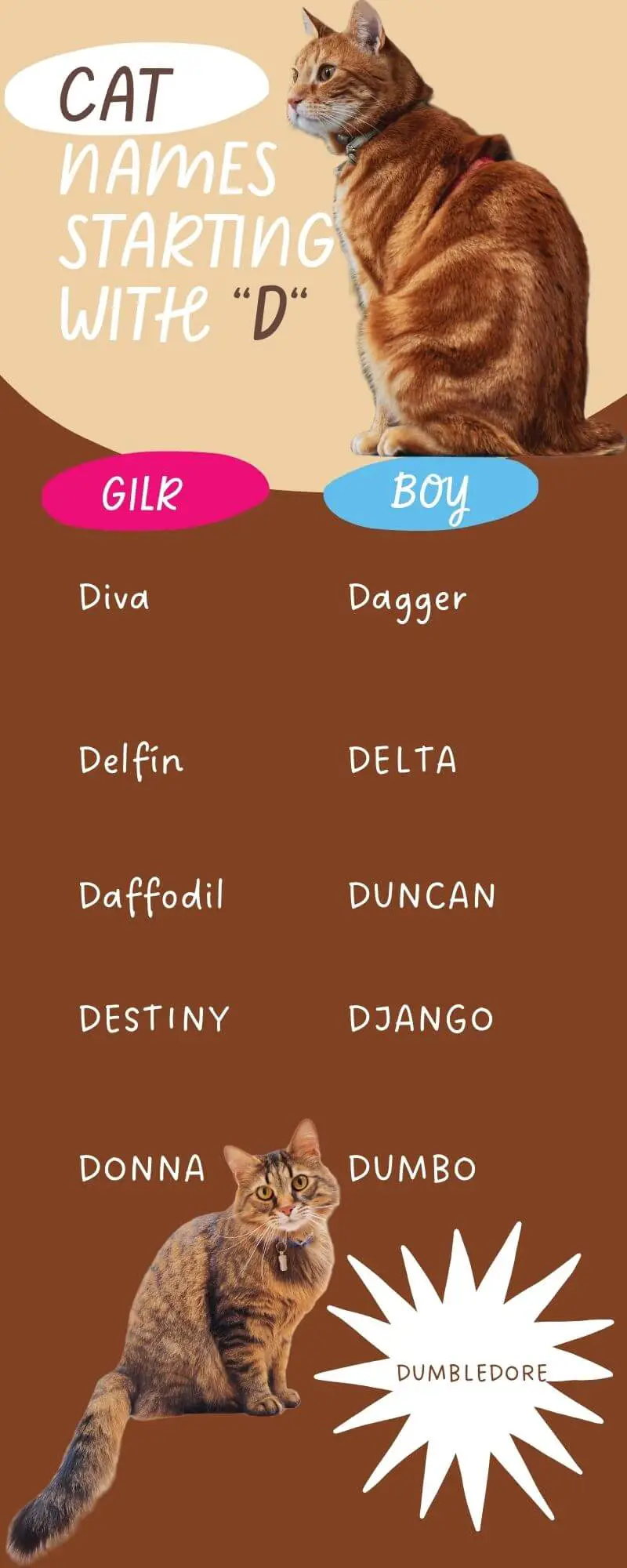 An Infographic showing  the list of 10 Cat Names Starting with D for male and female cats