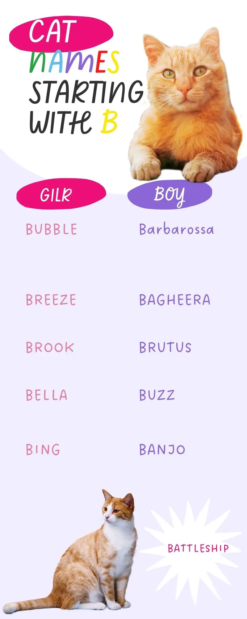 Infographic showing  the list of 10 Cat Names Starting with b
