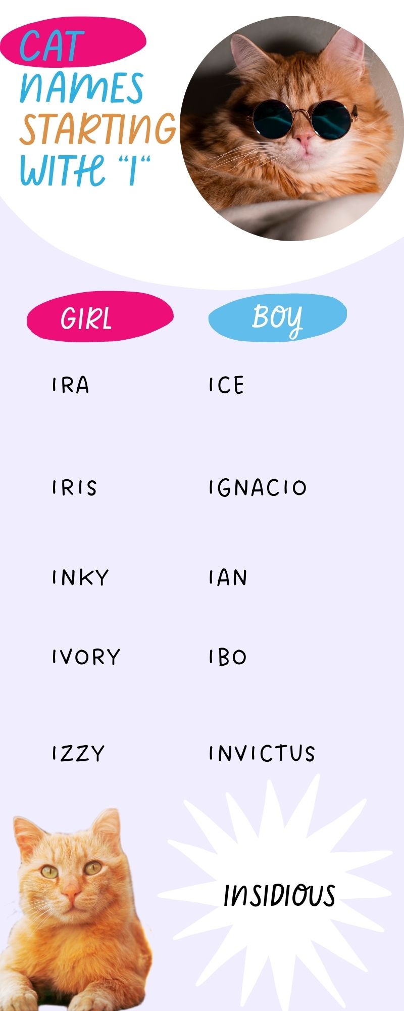 This infographic shows the 10 cat names starting with 'I'