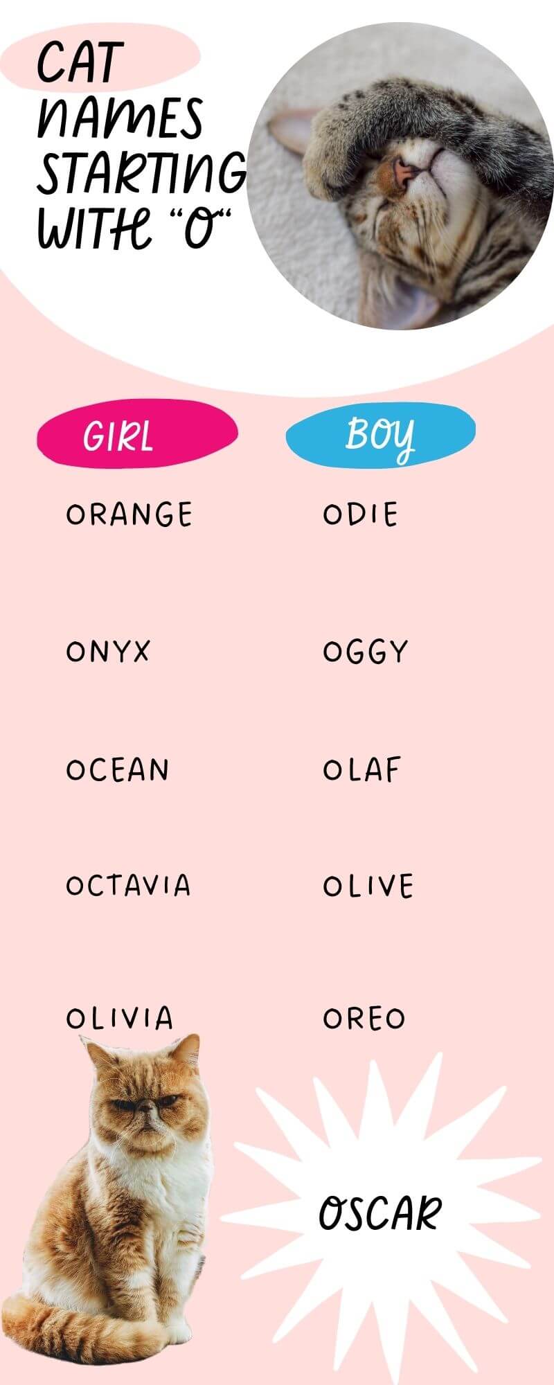 Infographic showing the list of 11 cat names starting with o 