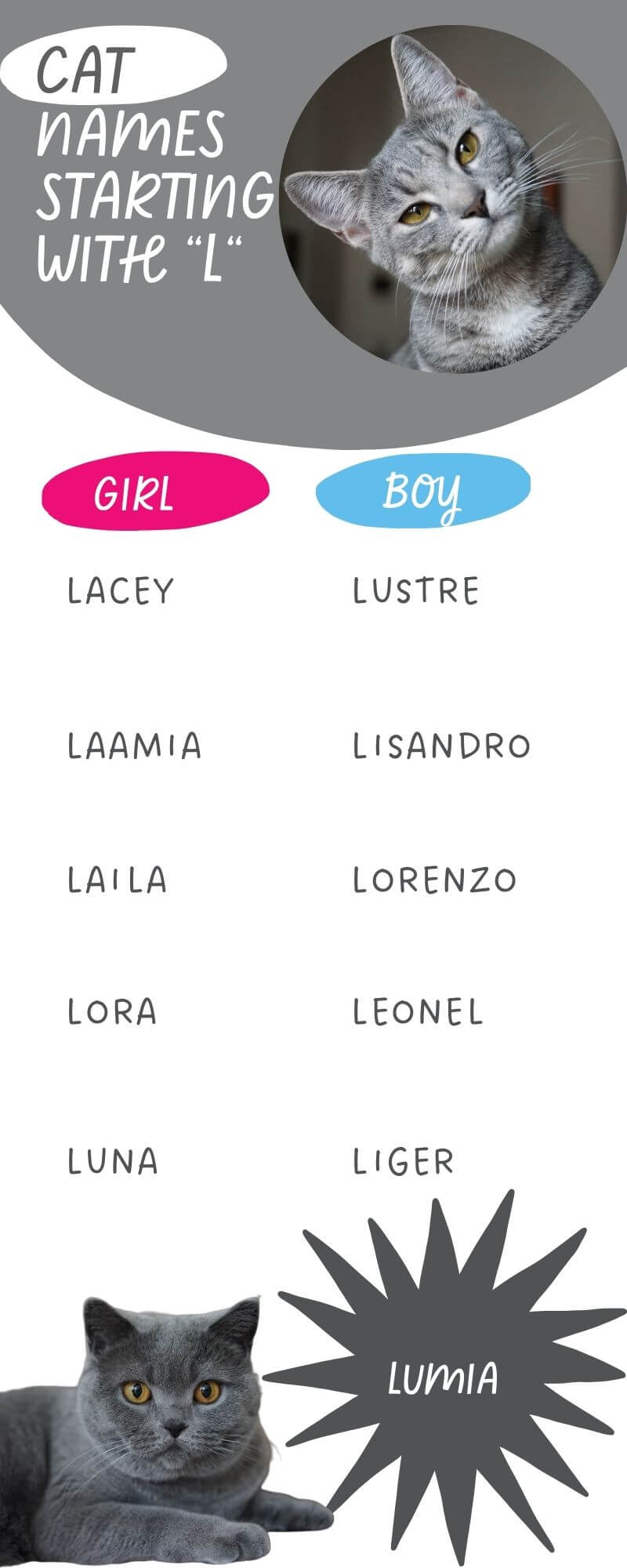 Most Popular Cat Names Starting with 'L' Infographic  