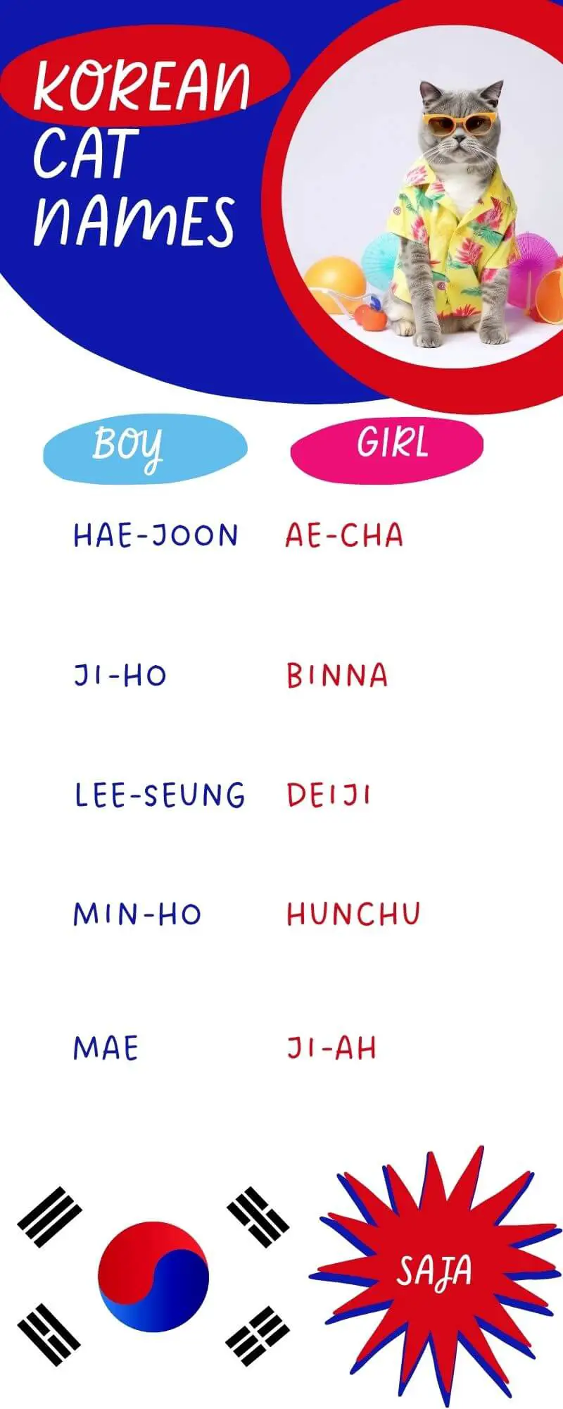 A list of 11 Korean  Names for Cats  Infographic 