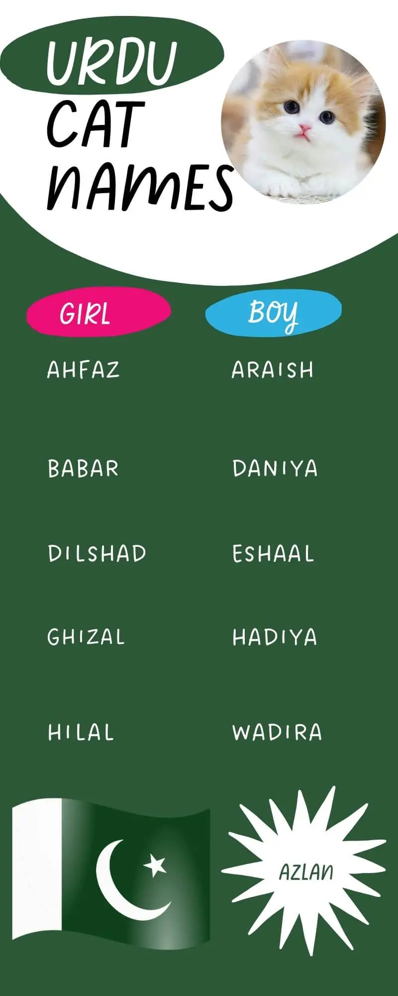 A List of 11 Urdu  Names for Cats  Infographic
